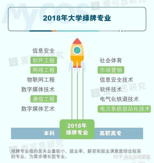 軟件工程、網絡工程與網絡安全 專業選擇指南與未來前景探析